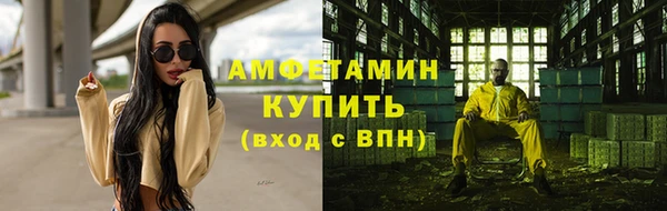 Альфа ПВП Горняк