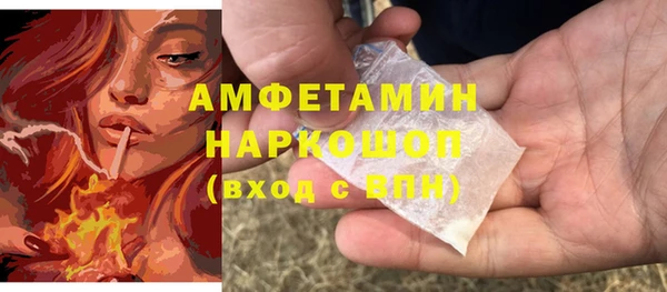 Альфа ПВП Горняк