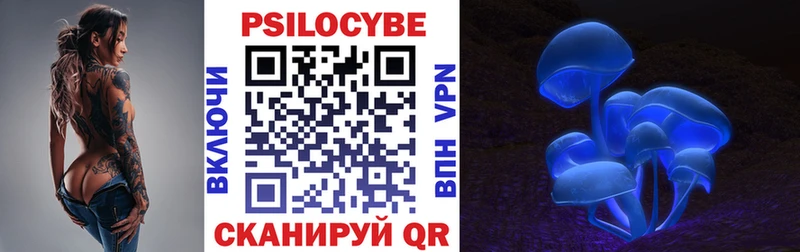 купить наркотики сайты  Злынка  Псилоцибиновые грибы мухоморы 