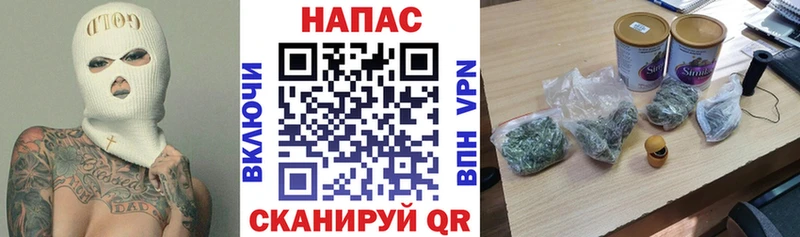 Каннабис гибрид  Злынка 
